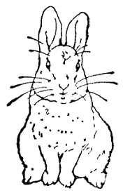 Peter rabbit