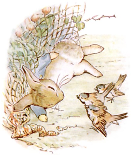 sparrows offer advice