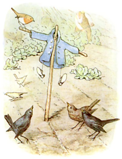 scare-crow of rabbit  clothes